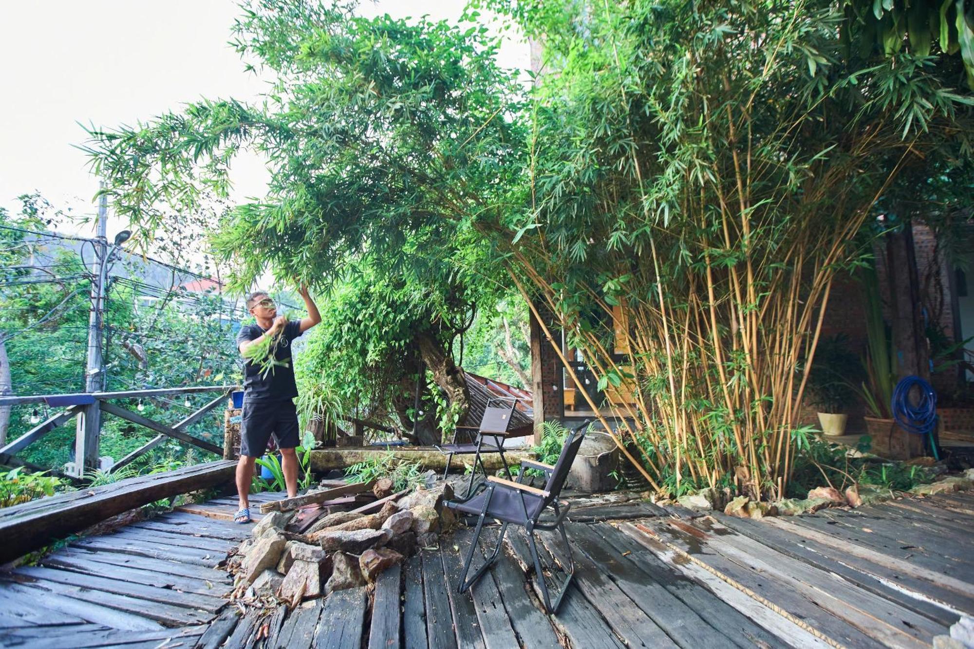 Homestay Eco May5 Travel Hạ Long-öböl Kültér fotó